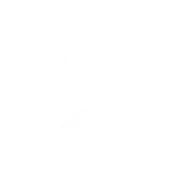 Bower Logo