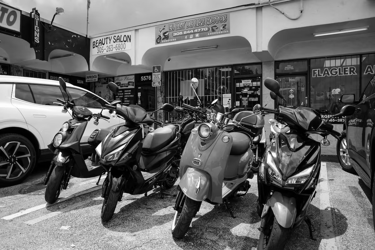 Black and white version for structural analysis